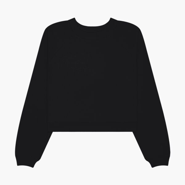Women's Raglan Pullover Sponge Fleece Thumbnail