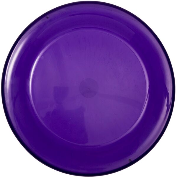 9" Flyer Disc Thumbnail