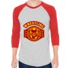 Unisex 50/50 Raglan Three-Quarter Sleeve Tee Thumbnail